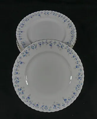 Buy Royal Albert Memory Lane Dinner Plate 26.5 Cm Dia. Set Of 6.         SH38 • 29.99£