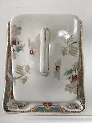 Buy Antique Butter Dish Parrott & Company  Made In England. Oriental Design.  • 15.50£