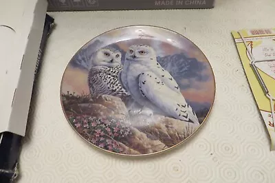 Buy ROYAL DOULTON Snowy Owls Adrian Rigby 1994 PN60 Bone China Collector Plate Boxed • 0.99£