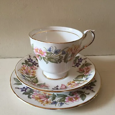 Buy Paragon Bone China Country Lane Trio - Teacup Saucer Plate | Floral Tea Set • 5£