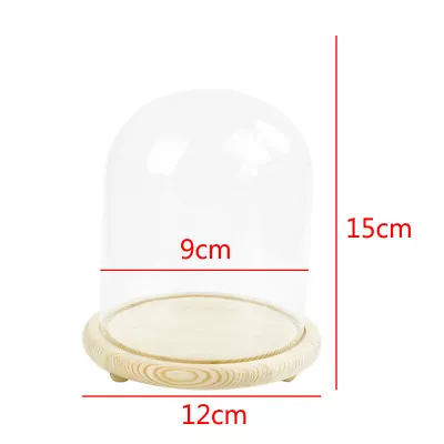 Buy Small Medium Large Glass Dome Display Bell Jar Cloche Wooden Base Xmas DIY Decor • 6.95£