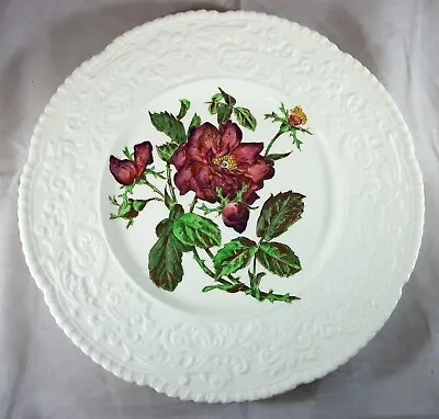 Buy Royal Cauldron Rose Luncheon Plate Flower Series 11.25  White Porcelain • 24.13£