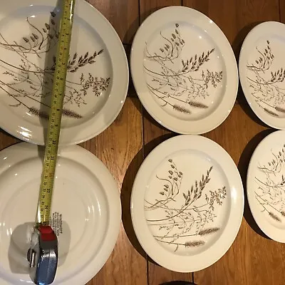 Buy Windswept J & G Meakin Pottery - 6 Large Dinner Plates  - England 1970`s - Lot A • 30£