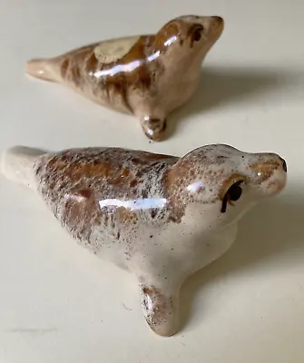 Buy Fosters Honeycomb Seal Pottery Figurine Seal Pups (2) • 15£