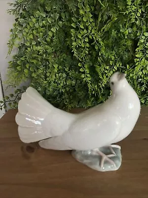Buy Lladro Vintage Paloma Grande Dove Fantail Porcelain Retired • 9.99£