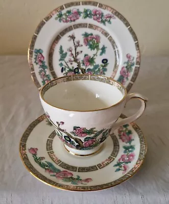 Buy Vintage Duchess Bone China Indian Tree Pattern Trio Cup Saucer Plate Excellent • 14.99£
