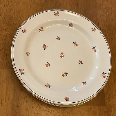 Buy Homer Laughlin  Nautilus CARDINAL Red Floral M43N8  9.5  Dinner Plate Set Of 4 • 32.51£