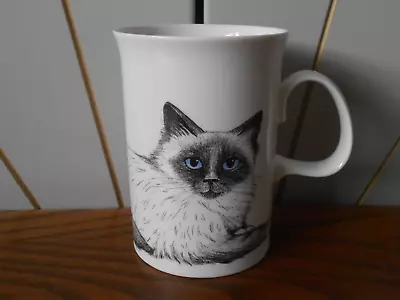 Buy CATS EYES Fine Bone China Tea Mug DUNOON Kate Mawdesley Cat With Blue Eyes • 19.99£