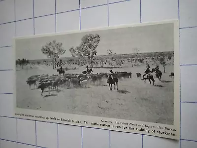 Buy Aborigine Stockman Rounding Up Cattle Beswick Station  1960 • 6.95£