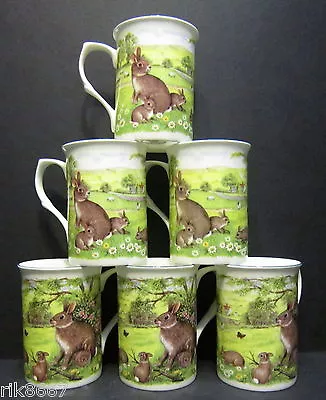 Buy Set Of 6 Mugs Wild Rabbits Fine Bone China Mugs Cups Beakers • 26.99£