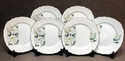 Buy 6 Vintage Crown Royal Bone China 6” Tea Plates • 6.50£