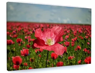 Buy Poppy Field Flower Meadow Landscape Canvas Picture Print Wall Art  • 76.76£
