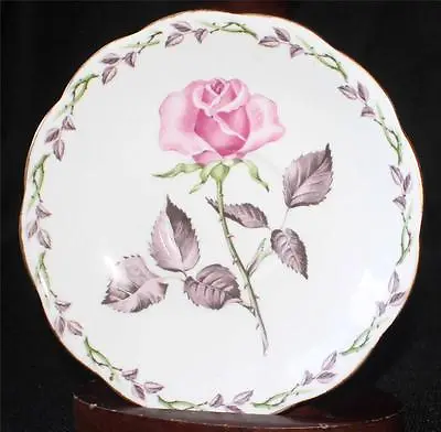 Buy Vintage ROYAL STANDARD Bone China England ROSE MARIE Pattern Saucer • 16.02£