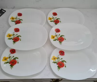 Buy 6 X Vintage Pyrex  “Ingrid” Poppy Design Steak Oval Plates Set Poppies Vgc Glass • 39.99£