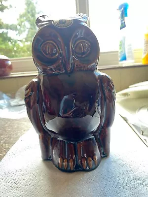 Buy Retro Dartmouth Pottery Brown Owl Piggy Bank  • 10£