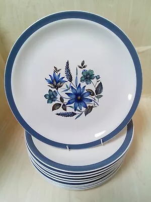 Buy Alfred Meakin Blue Countryside Dinner Plates X 12 Glo-White Ironstone 26cm • 9.99£