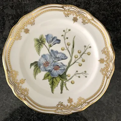 Buy Spode China England Stafford Flowers Y8519 20cm 8  Salad Plate. New • 94£