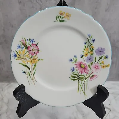 Buy Shelley Bone China “ Wild Flowers “ 13668 Trio Side Plate. REPLACEMENT SPARE. • 8.99£
