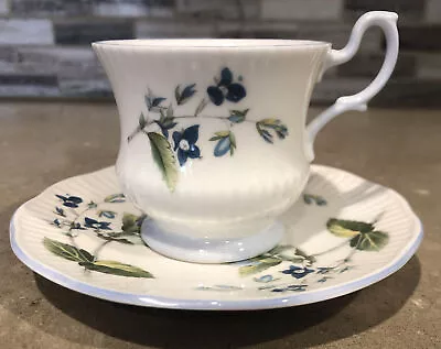 Buy Vintage Delicate Queen's Fine Bone China Teacup And Saucer Rosina China Co Ltd • 12.32£