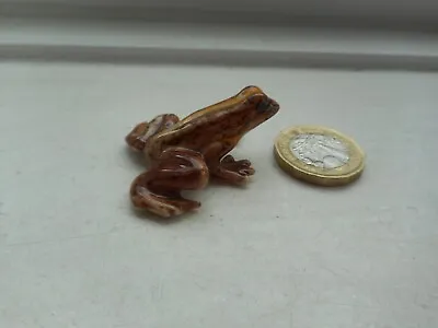 Buy Frog - Beautiful- Detailed Colourful Miniature Pottery Frog - Brown & Cream/gold • 4£