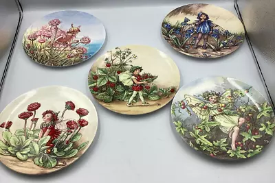 Buy 12 Wedgewood Decorative Wall Plates- The World Of The Flower Fairies #5093 • 19.99£