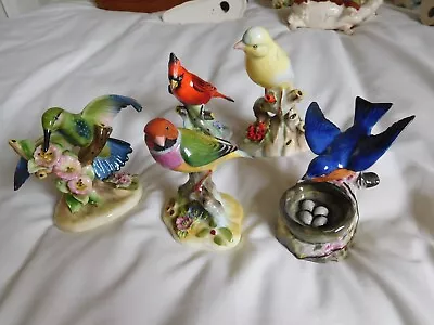 Buy Royal Adderley Bird Collection X 5 Excellent Condition • 35£