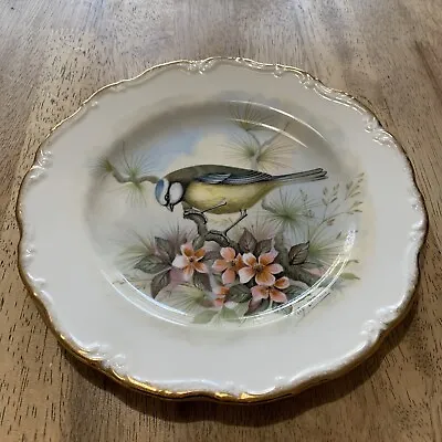 Buy Royal Albert Bone China The Woodland Birds Collection Blue Titmouse Plate • 9.99£