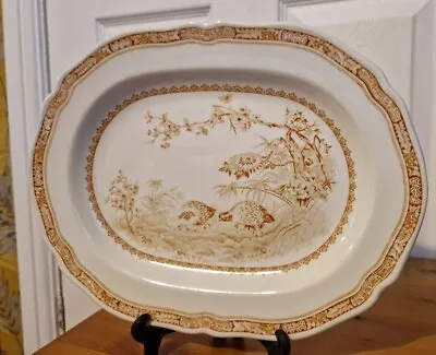 Buy Vintage Ceramic Furnivals Quail Brown Oblong Serving Platter 29.8 X 22.8 Cm • 24£