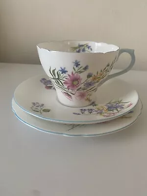 Buy Shelley - Wild Flowers' Trio, Cup, Saucer & Plate Pattern 13668 • 15.50£
