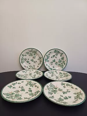 Buy BHS Country Vine Design 8 Inch Salad Plates X 6 - Immaculate • 24£