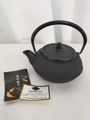 Buy Nanbu Ironware - Teapot • 134.65£