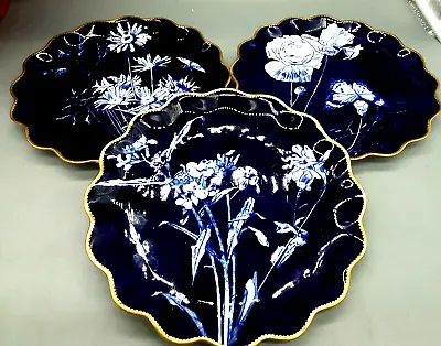 Buy Rare Antique Coalport Bone China Collectible Cobalt Blue Plates Gold Rim • 140£