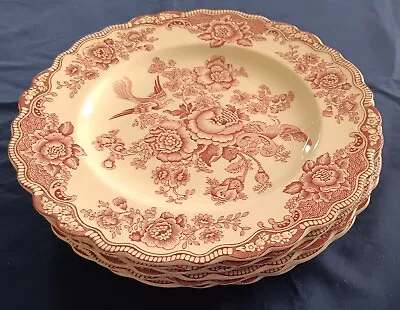 Buy Vintage - Crown Ducal Bristol - Pink - 6 Dinner Plates - Must See! • 19.99£