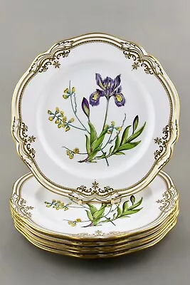 Buy Spode Fine Bone China England Stafford Flowers 28cm 11” Dinner Plates X 6 Mint! • 625£