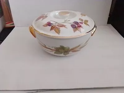 Buy Royal Worcester Wild Forest Soup Tureen • 5.99£
