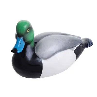 Buy John Beswick Collectors Bird Figurine - Greater Scaup Duck • 24.99£