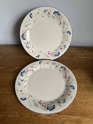 Buy Royal Doulton Expressions Windermere 27.5 Cm Dinner Plates X2 • 22£