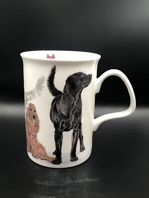 Buy Roy Kirkham Dogs Galore Mug Dog Breeds Mug, Dog Mug Excellent Condition • 9£