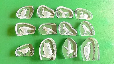 Buy Wedgwood Crystal Glass Bird Paperweights X 12 • 54.99£