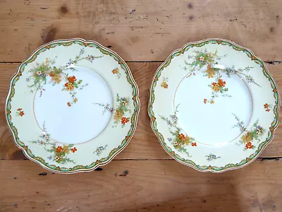 Buy Johnson Bros Old Staffordshire 'Ningpo' 2 X China Plates 9 Inch Vintage Preowned • 12£