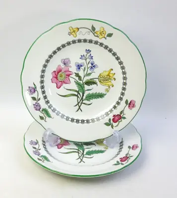 Buy Spode Summer Palace 2x 15.5cm Tea Side Plates - Floral Vintage • 12£