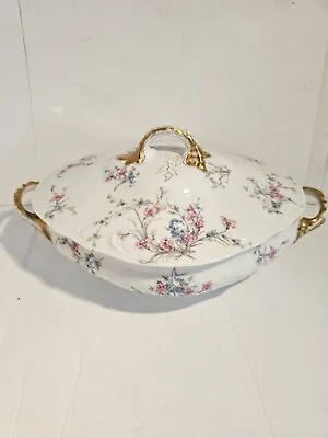 Buy Antique Limoges Thomas Haviland Oval 10'' Covered Casserole - Made In France • 40.26£