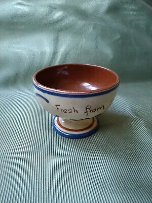 Buy Devon Motto Ware H M Exeter 'Fresh From The Dairy' Vintage Pottery Bowl • 5.99£