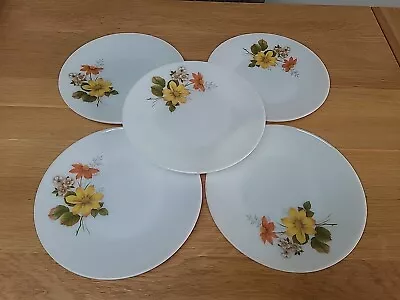 Buy 5x Pyrex JAJ Autumn Glory 10  Dinner Plates • 19.99£