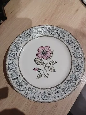 Buy 7 Queens Jardinet Fine China Side Plates • 10£