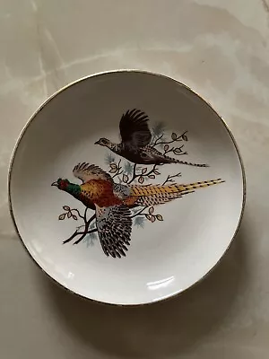 Buy Collectible Plate Made By Myott. • 1.45£