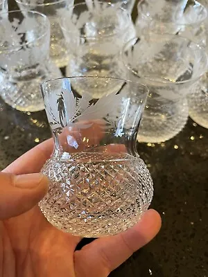 Buy First Quality Edinburgh Crystal Whiskey Thistle Glasses (12  Glasses) Full Set • 1,350£