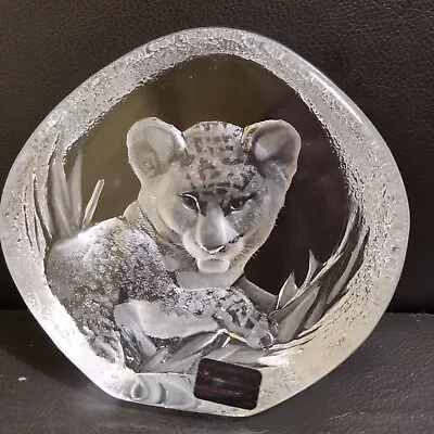Buy Mats Jonasson Sweden Lion Cub Etched  Paperweight Signed Number 3376 • 15£