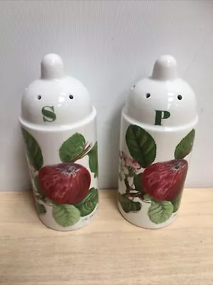 Buy Portmeirion POMONA Salt & Pepper Shakers ~ English Ceramic Pottery • 18£