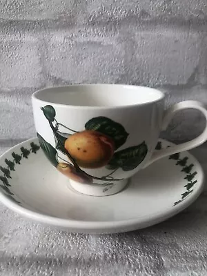 Buy Portmeirion Pomona Cup And Saucer - The Roman Apricot • 10£